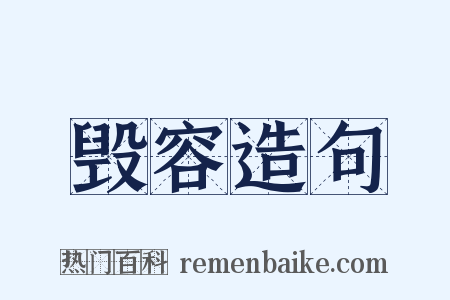 毁容造句是什么意思的图片